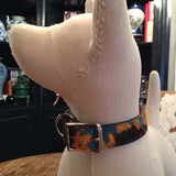 American Acid dyed School Bus colors plain dog collar