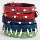 American Alligator dog collar stack embellished