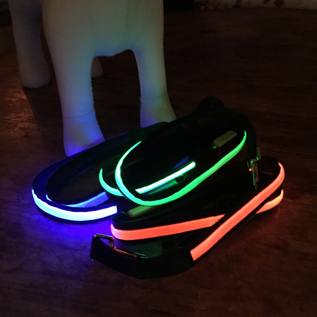Lumi LED illuminated 48" leash colors Orange, Green, Blue, and Pink lighted