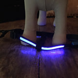Lumi LED illuminated dog harness step-in to put on lighted Blue