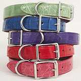 Multi color Stacks of Alligator dog collars, plain