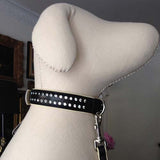 Large Double Brilliance collar with leash in dog manequin 