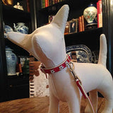 Dog manequin wearing Medium size Red collar with stars and leash 