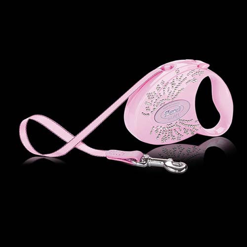 Flexi Wings retractable leash pink pearlized case and lead