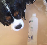 MAURO ESSENTIAL ELEMENTS SHAMPOO