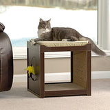 The Cat Interactive Play Cube