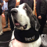 Shamus wearing THE WIPE-IT